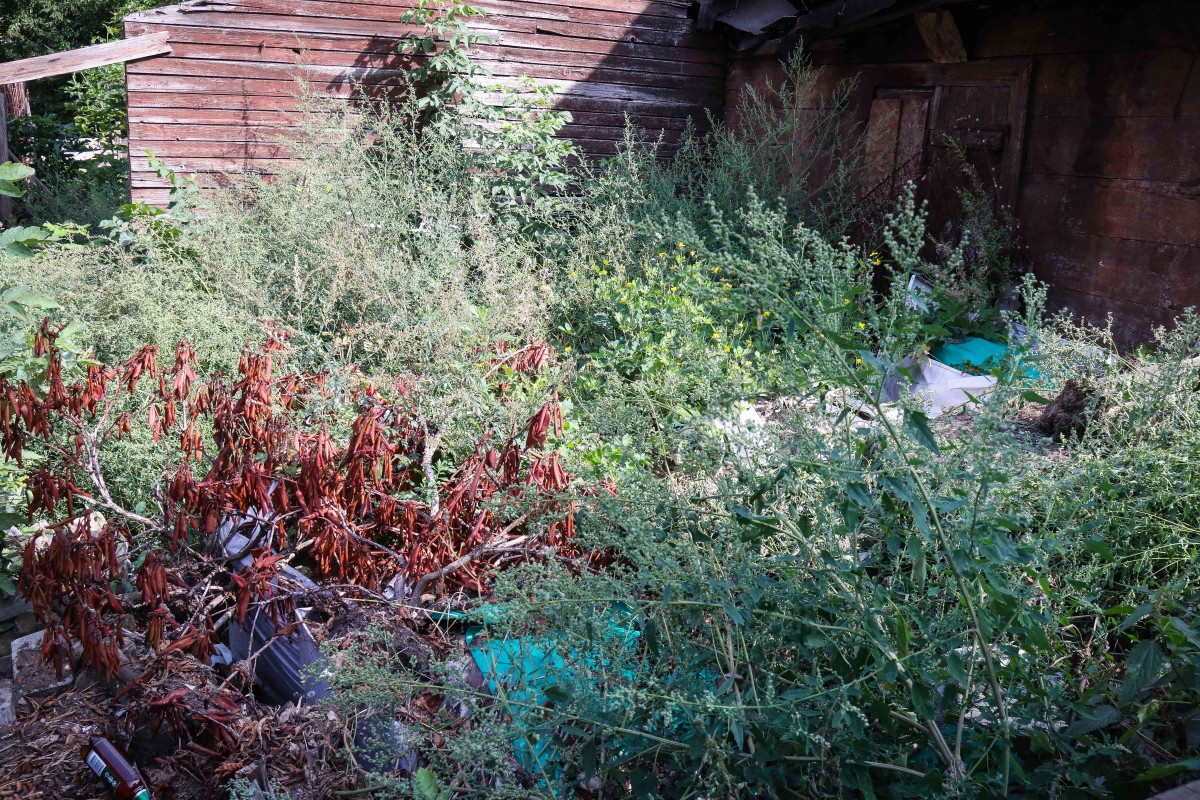 Vidi degradējošu būvju komisija uzdod graustu Ādmiņu ielā 11a sakārtot piespiedu kārtā