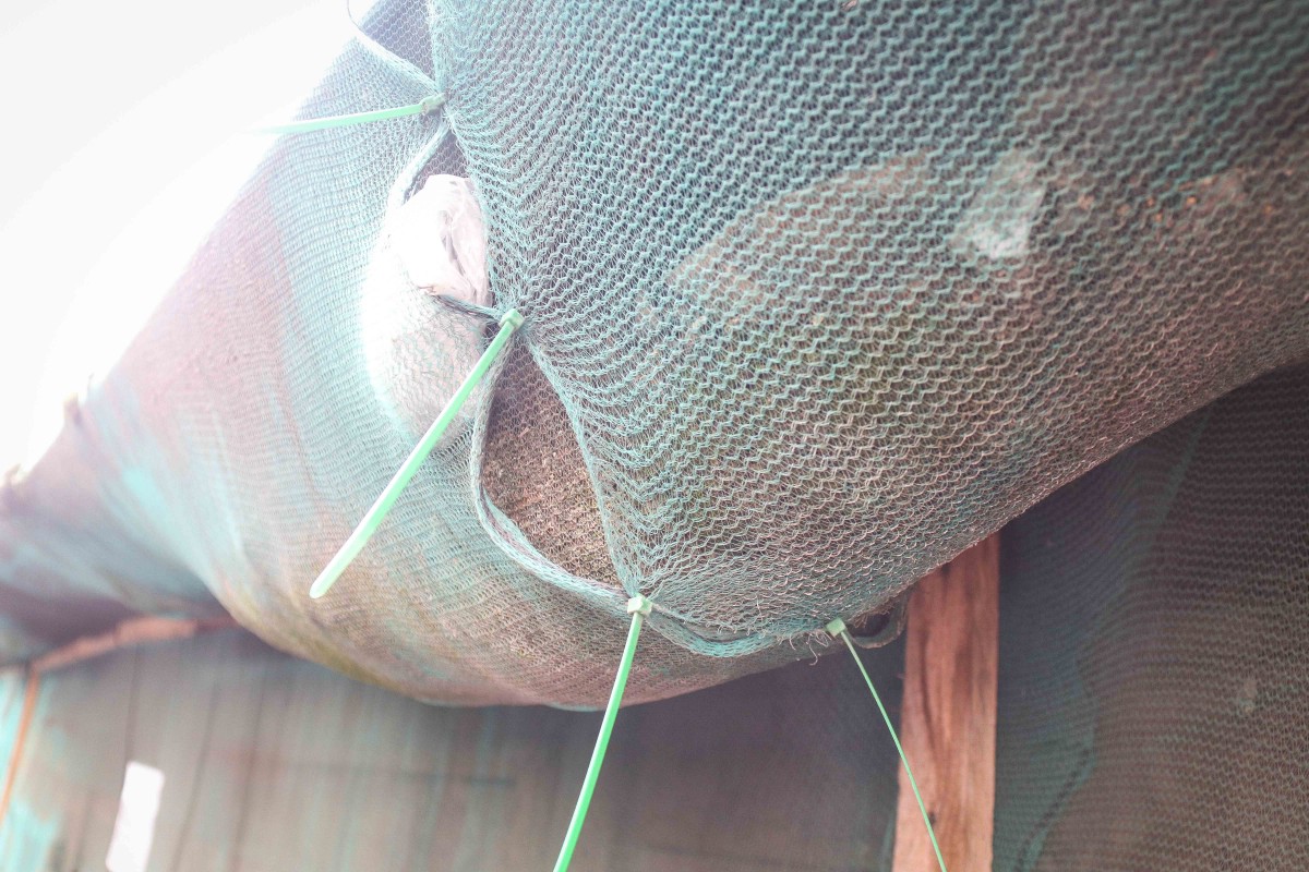 Vidi degradējošu būvju komisija uzdod graustu Ādmiņu ielā 11a sakārtot piespiedu kārtā