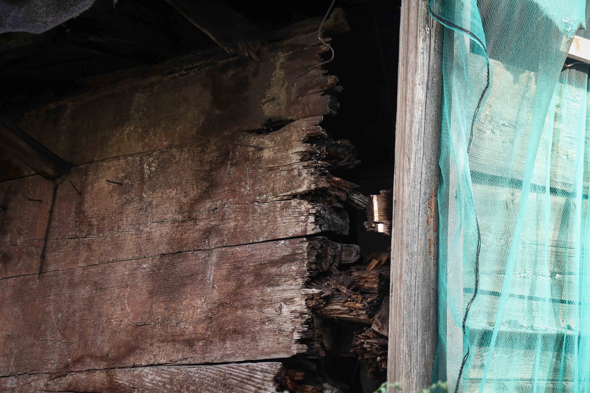 Vidi degradējošu būvju komisija uzdod graustu Ādmiņu ielā 11a sakārtot piespiedu kārtā