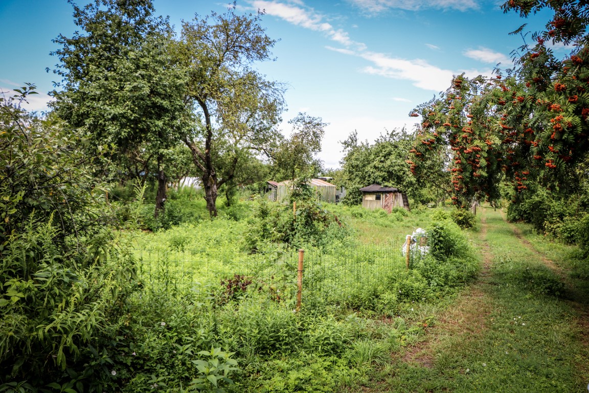 Rīgas dome: Mazdārziņu lietotājiem nepieciešama drošība, kārtība un skaidri spēles noteikumi