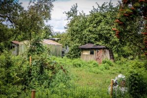 Rīgas dome: Mazdārziņu lietotājiem nepieciešama drošība, kārtība un skaidri spēles noteikumi
