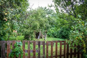 Rīgas dome: Mazdārziņu lietotājiem nepieciešama drošība, kārtība un skaidri spēles noteikumi