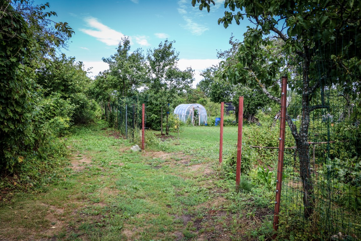 Rīgas dome: Mazdārziņu lietotājiem nepieciešama drošība, kārtība un skaidri spēles noteikumi