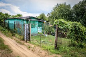 Rīgas dome: Mazdārziņu lietotājiem nepieciešama drošība, kārtība un skaidri spēles noteikumi