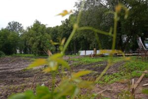 Mežaparka skolas preses konference