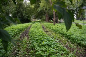 Mežaparka skolas preses konference