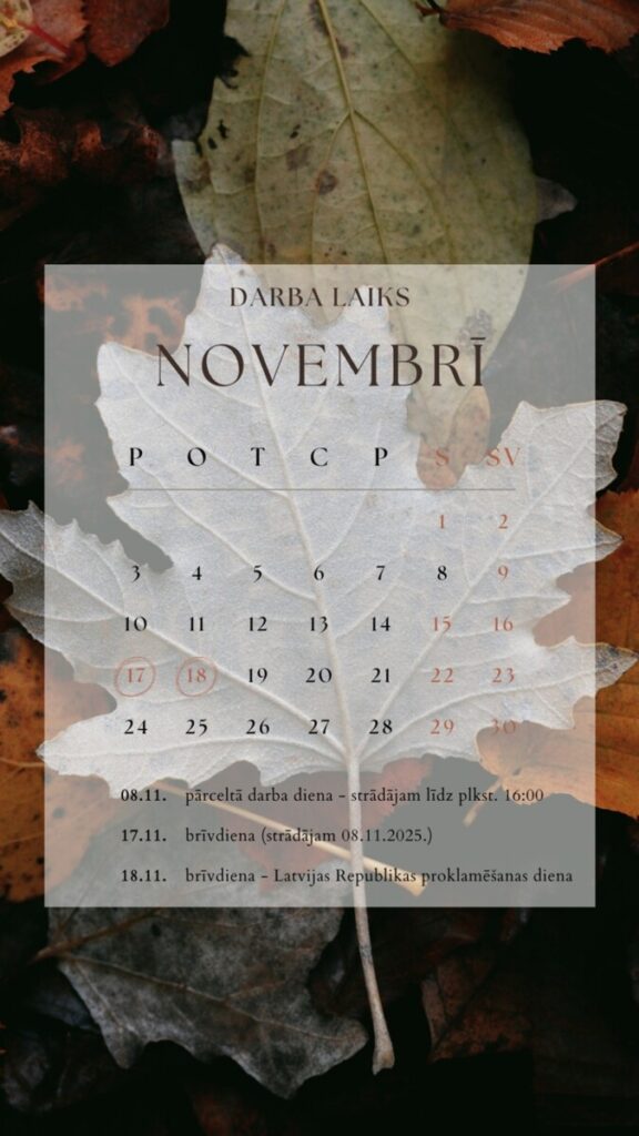 Darba laiks novembrī
