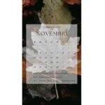 Darba laiks novembrī