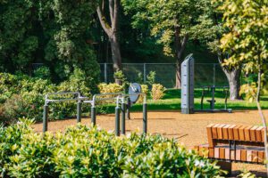 54752280075_43481d6141_c