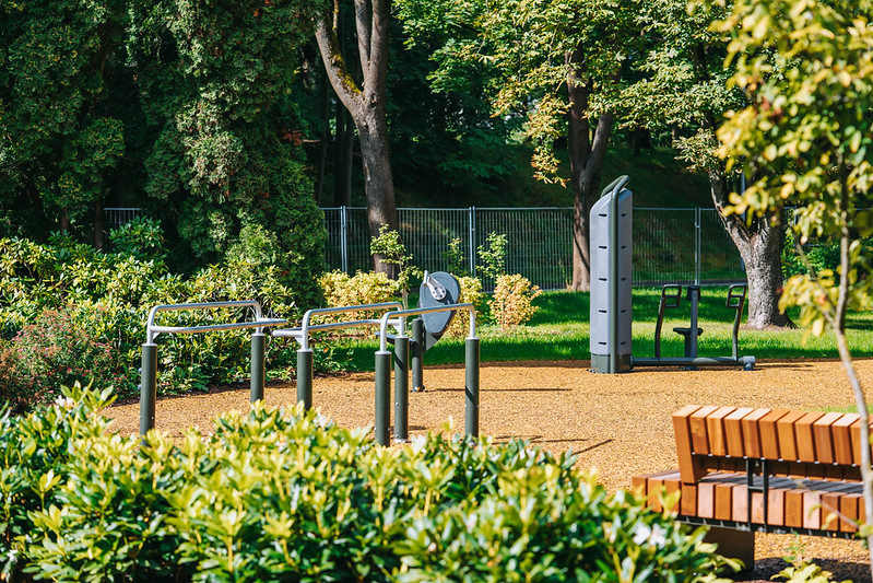 54752280075_43481d6141_c