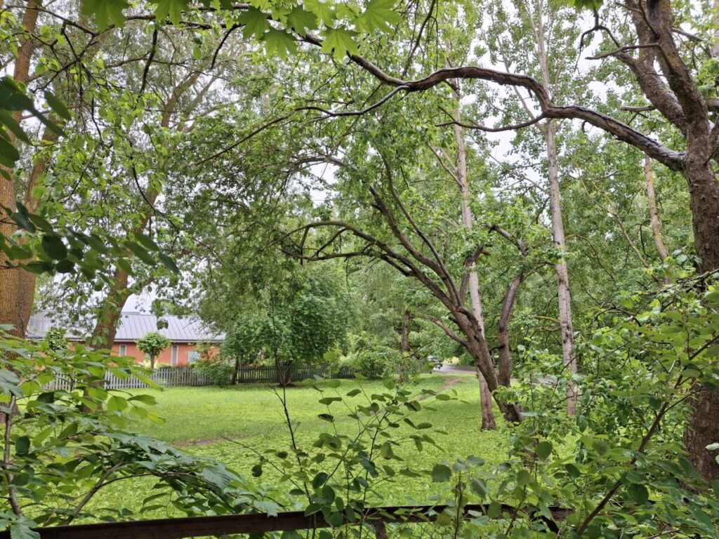 Kapteiņu 7