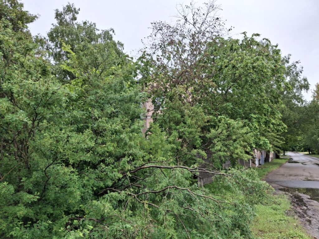 Kapteiņu 7